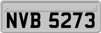 NVB5273