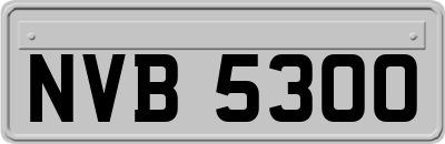 NVB5300