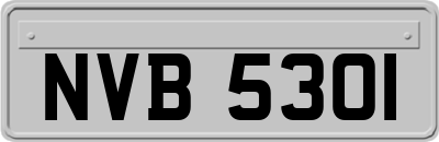 NVB5301