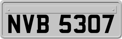 NVB5307