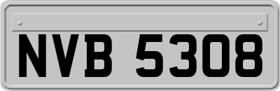NVB5308