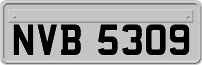 NVB5309