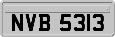 NVB5313
