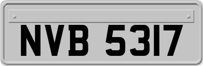 NVB5317