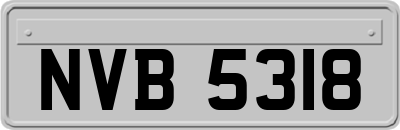 NVB5318