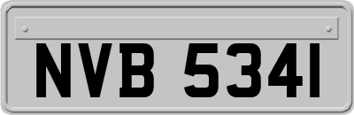 NVB5341