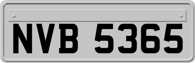 NVB5365