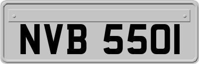 NVB5501