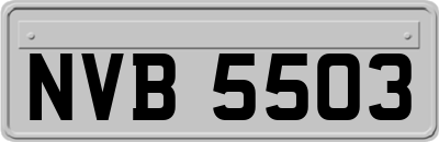 NVB5503