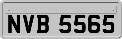 NVB5565