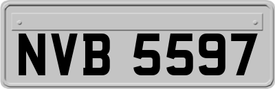 NVB5597