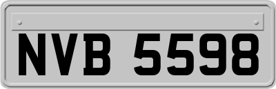 NVB5598