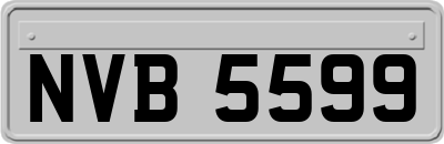 NVB5599