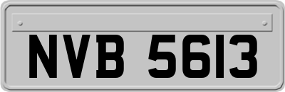 NVB5613