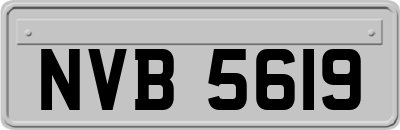 NVB5619