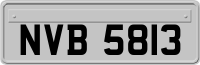 NVB5813
