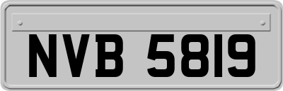 NVB5819