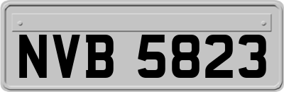 NVB5823