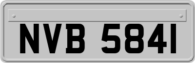 NVB5841