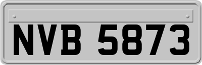 NVB5873