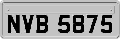 NVB5875