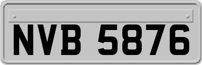 NVB5876