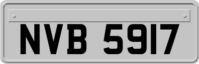 NVB5917