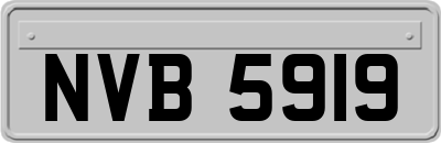 NVB5919
