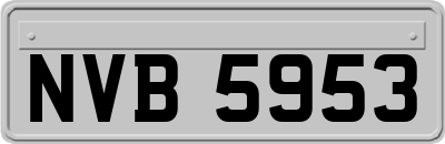 NVB5953