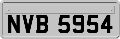 NVB5954