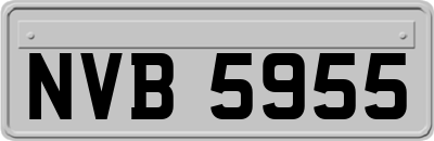 NVB5955