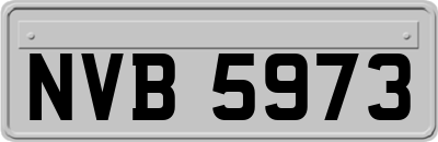 NVB5973