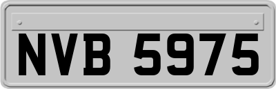 NVB5975