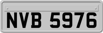NVB5976