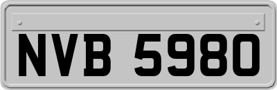 NVB5980