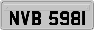 NVB5981
