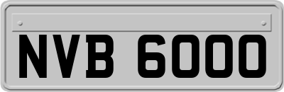 NVB6000