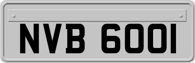 NVB6001