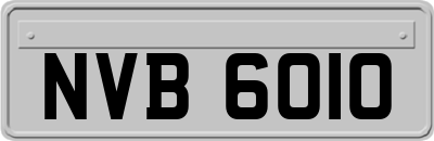 NVB6010