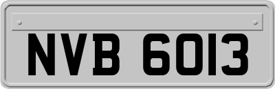 NVB6013