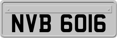 NVB6016