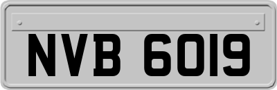 NVB6019