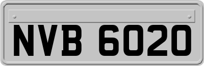 NVB6020