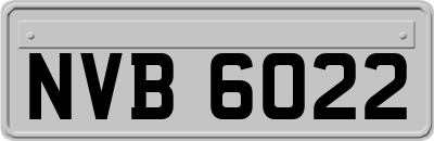 NVB6022