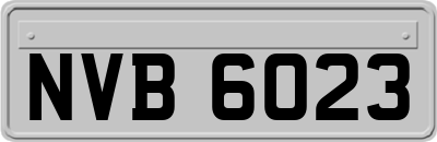 NVB6023