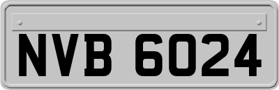 NVB6024