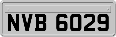 NVB6029