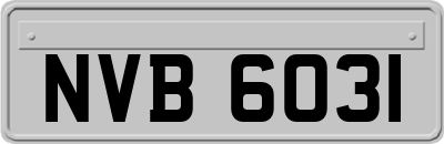 NVB6031