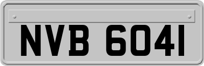 NVB6041