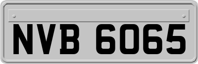 NVB6065